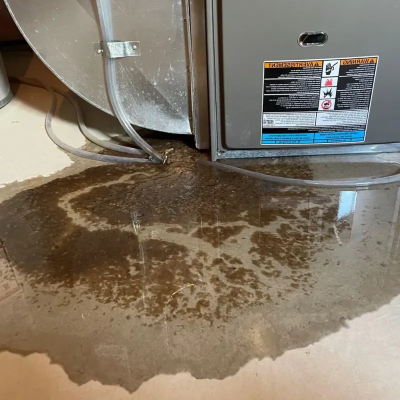 Pipe Burst and Leak Restoration in Summit Park, UT